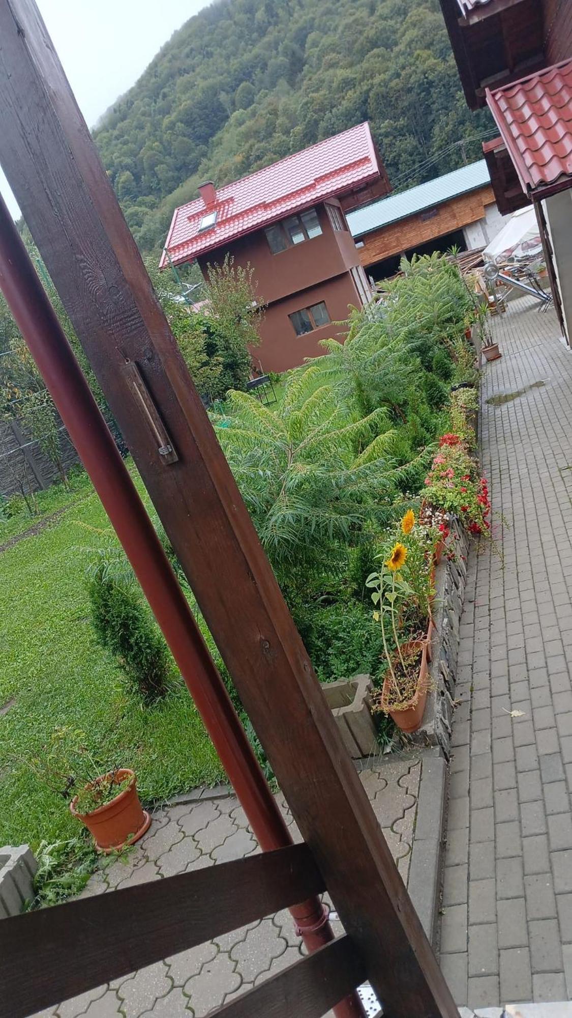 Pensiunea Carmen Bucium  Exteriér fotografie